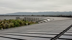 Ecoforce Solutions