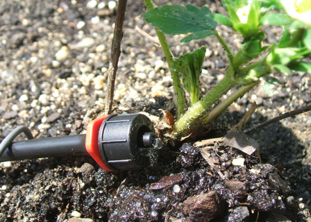 drip_irrigation - EcoForce Solutions